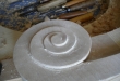 volute